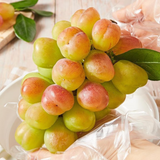 Premium Korean Violet King Grapes 바이올렛킹 포도 600g~700g