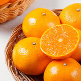 Premium CheonHyeHyang 천혜향 3kg 8~13pcs