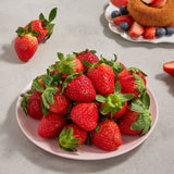 Premium Jukhyang Strawberries 죽향딸기  500g/2 layers/24pc