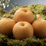 Singo Pear 신고배 and Hong-ro Apple 홍로사과 Gift Set