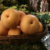 Singo Pear 신고배 and Hong-ro Apple 홍로사과 Gift Set