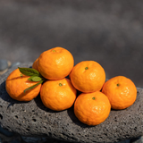 Jeju Winter Prince Mandarins  윈터프린스 3kg