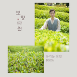 Dahoo Tea Collection 4 Types (Organic) 보향다원 다후 컬렉션 (4종:녹차, 황차, 홍차,흑차) 유기농 티백
