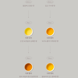 Dahoo Tea Collection 4 Types (Organic) 보향다원 다후 컬렉션 (4종:녹차, 황차, 홍차,흑차) 유기농 티백