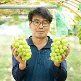 Shyarem Shine Muscat Premium 1KG Gift Set 샤렘 샤인머스켓 프리미엄 선물세트