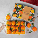 Premium Jeju Hallabong Mandarin (한라봉) 3kg