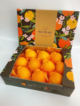 Premium Jeju Hallabong Mandarin (한라봉) 3kg