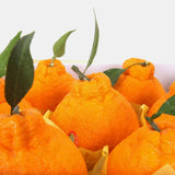 Premium Korean Hallabong 한라봉 2kg