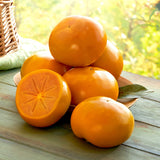 DanGam Sweet Persimmon 단감  8pc 2Kg