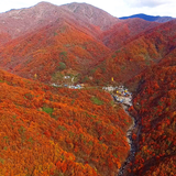 Premium Gift Set Korean Special Sauces 지리산 프리미엄 고로쇠 장류 선물세트