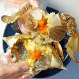 Deliver 31 Oct. Korean Soy Sauce Marinated Crabs 2pcs +3pcs Shrimps 일미 간장게장 암꽃게 大 2마리 - 1.2kg