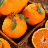 Premium Korean Hallabong 한라봉 2kg