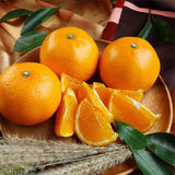 Premium CheonHyeHyang 천혜향 3kg 8~13pcs