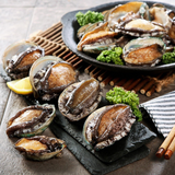 Deliver 31 Oct. (Pre-Order) Korean Fresh Abalone 전복 1kg