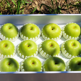 Greensis Korean Pear 그린시스배 3pc 1.2kg