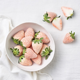 Premium Korean Snowberry 만년설딸기 500g/15pc/Punnet