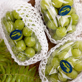 Shyarem Shine Muscat Premium 1KG Gift Set 샤렘 샤인머스켓 프리미엄 선물세트