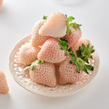 Premium Korean Snowberry 만년설딸기 500g/15pc/Punnet