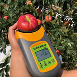 Premium Korean Apples 감홍 사과 3KG 7~9pc