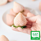 Premium Korean Snowberry 만년설딸기 500g/15pc/Punnet