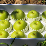 Greensis Korean Pear 그린시스배 3pc 1.2kg