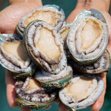 Deliver 31 Oct. (Pre-Order) Korean Fresh Abalone 전복 1kg