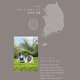 Dahoo Tea Collection 4 Types (Organic) 보향다원 다후 컬렉션 (4종:녹차, 황차, 홍차,흑차) 유기농 티백