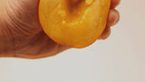 Top quality premium Korean Yellow Peaches 황도복숭아 - approx. 2.5kg (1 box)