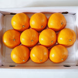 Premium CheonHyeHyang 천혜향 3kg 8~13pcs