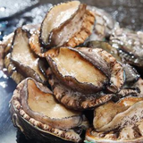 Deliver 31 Oct. (Pre-Order) Korean Fresh Abalone 전복 1kg