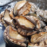 Korean Abalone 전복 (11~13미)- 1kg