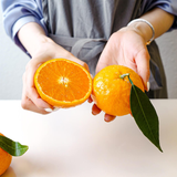 Jeju Winter Prince Mandarins  윈터프린스 3kg