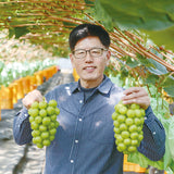 Shyarem Shine Muscat Premium 1KG Gift Set 샤렘 샤인머스켓 프리미엄 선물세트