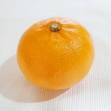 Premium CheonHyeHyang 천혜향 3kg 8~13pcs