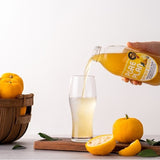 퓨어플랜 유자시럽 Pure Plan Yuja (500ml)