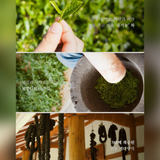 Dahoo Tea Collection 4 Types (Organic) 보향다원 다후 컬렉션 (4종:녹차, 황차, 홍차,흑차) 유기농 티백