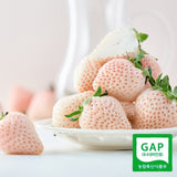 Premium Korean Snowberry 만년설딸기 500g/15pc/Punnet