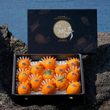 Premium Korean Hallabong 한라봉 2kg