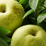 Greensis Korean Pear 그린시스배 3pc 1.2kg