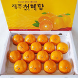 Premium CheonHyeHyang 천혜향 3kg 8~13pcs