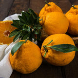 Premium Korean Hallabong 한라봉 2kg