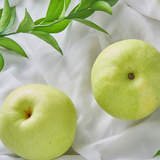 Greensis Korean Pear 그린시스배 3pc 1.2kg