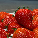 Vitaberry Strawberry 비타베리 딸기 500g
