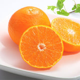 Premium CheonHyeHyang 천혜향 3kg 8~13pcs