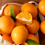 Jeju Winter Prince Mandarins  윈터프린스 3kg