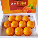 Premium CheonHyeHyang 천혜향 3kg 8~13pcs