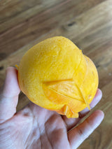 Premium Korean Yellow Peach 황도복숭아 - approx. 1.5kg 4~5pc/box
