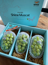 Premium Sangju Shine Muscat 샤인머스켓 선물세트  Gift Set (3pc)