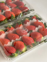 Premium Jukhyang Strawberries 죽향딸기  - 500g / 15pcs /1 Layer