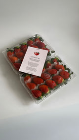 Premium Jukhyang Strawberries 죽향딸기  - 500g / 15pcs /1 Layer